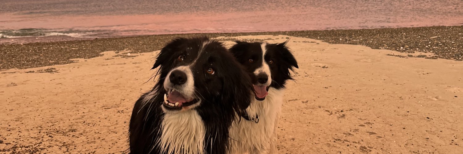 HuicheMailen's profile banner image