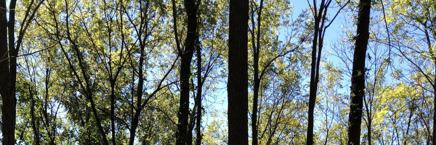 tanner_white2's profile banner image