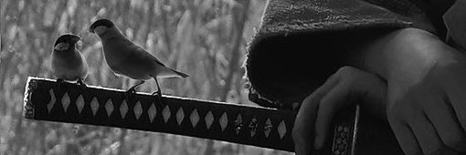 KanWarrior's profile banner image