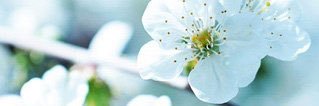 xLucyKelly's profile banner image