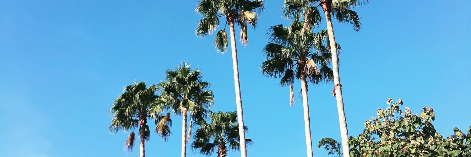 TylerMcCarthy9's profile banner image