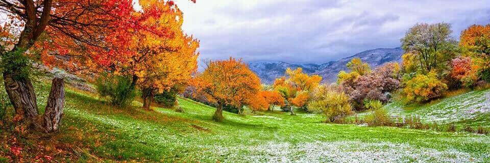 🇺🇸🇺🇦🇮🇱 banner