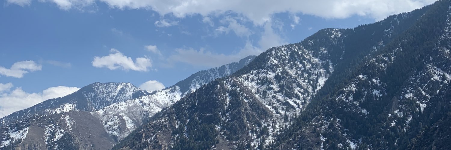 lil_bunchie_'s profile banner image