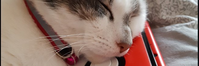 Shining_shadows banner