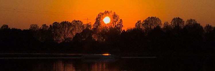 Saskia Moes banner