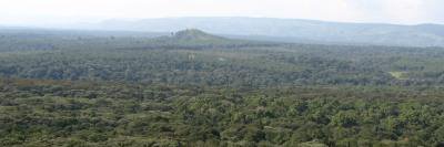 NLCKENYA's profile banner image