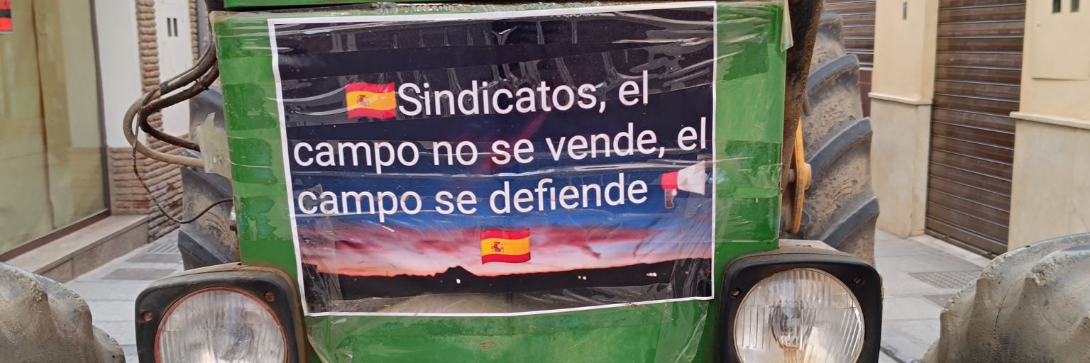 Pedro Luis banner