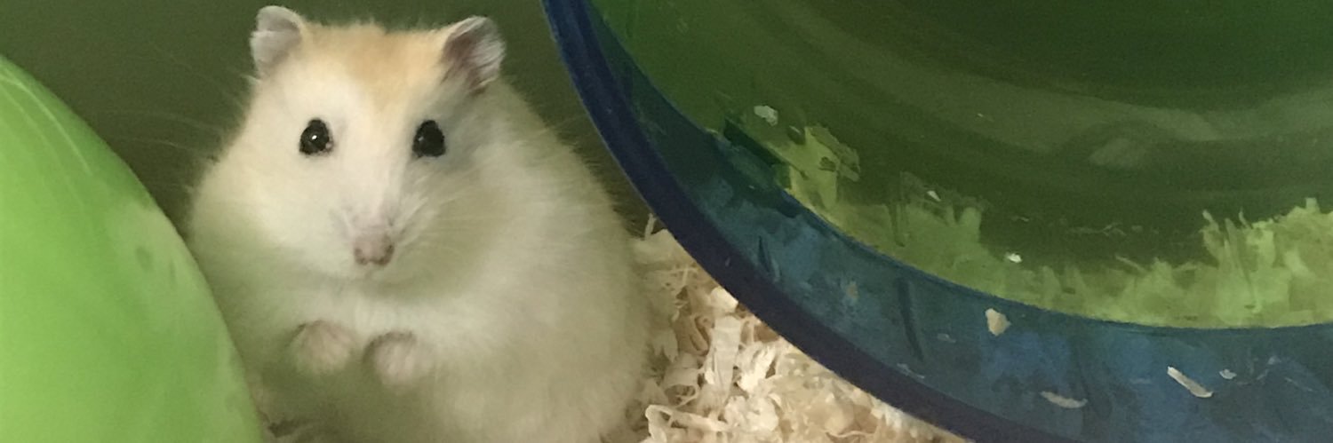 martetamp14's profile banner image