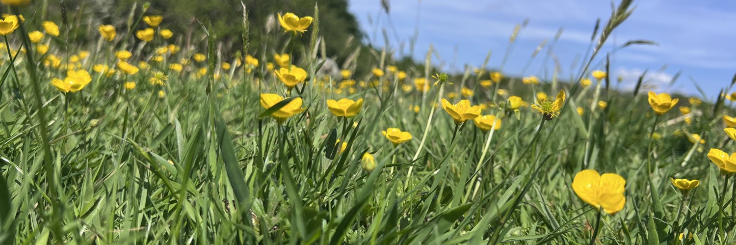 Mel Withero 💙 banner