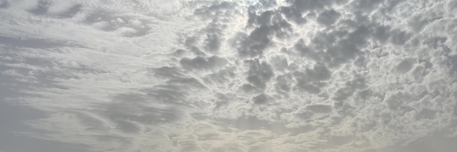 loveyabeanit's profile banner image
