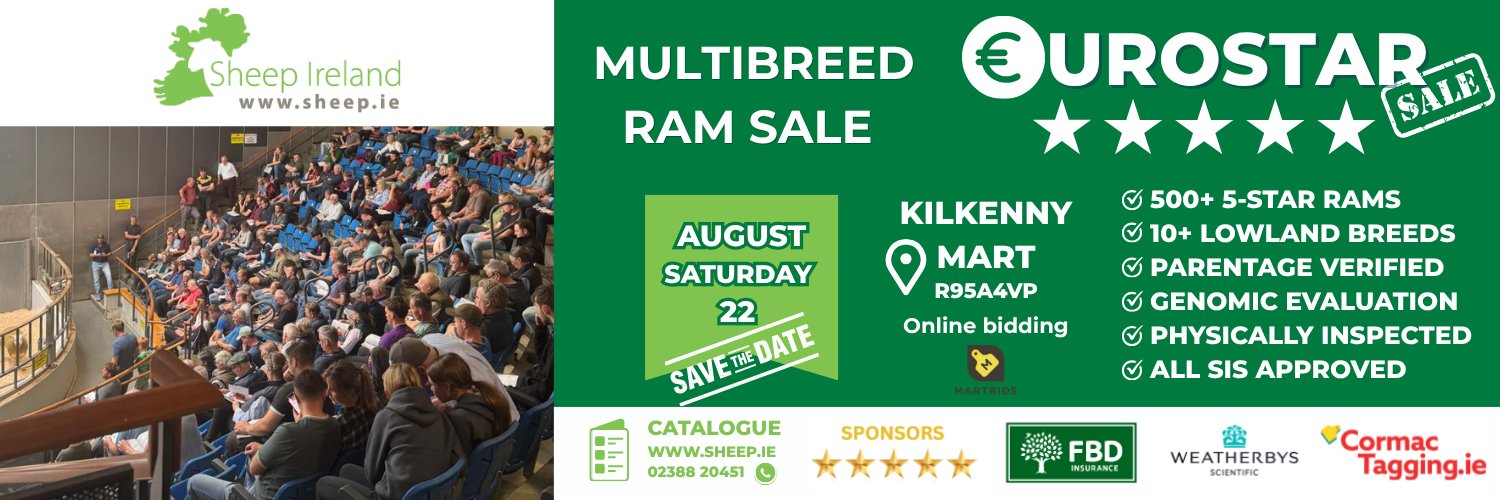 SheepIreland's profile banner image