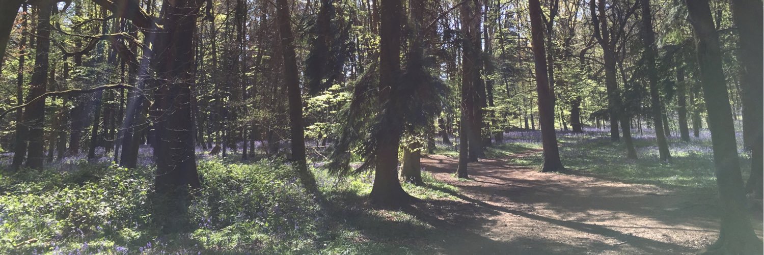 eleanorbown's profile banner image