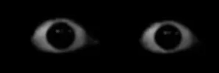 juggbands_'s profile banner image