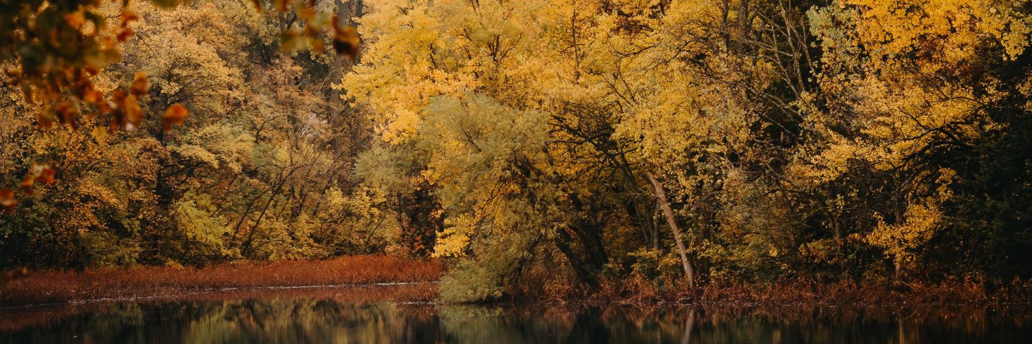 Mandy Zimmerman banner
