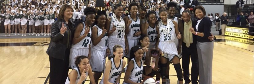 LashaunCook banner