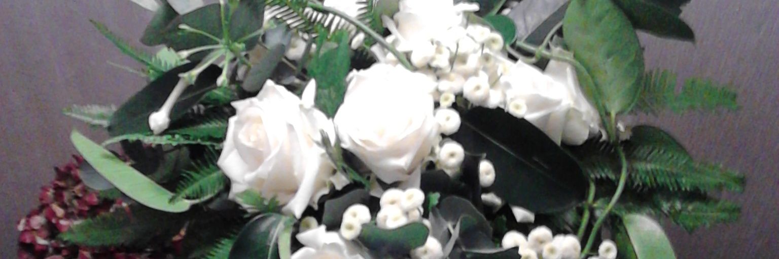 BarneveldGerrie's profile banner image
