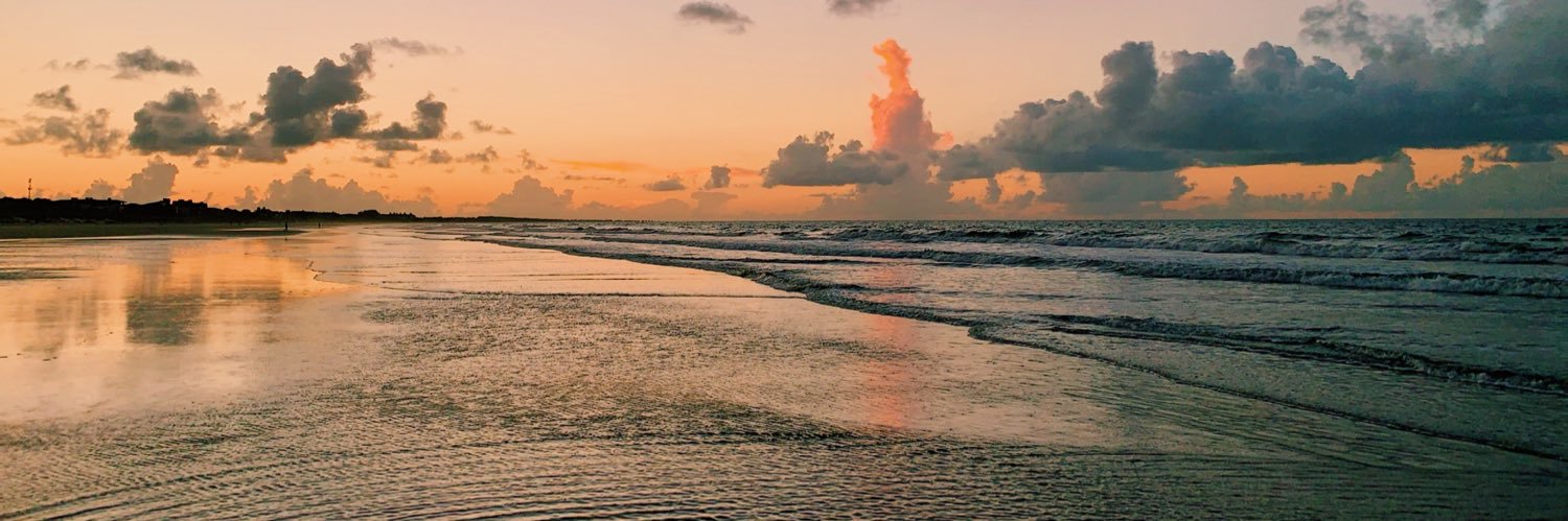 Baylea Knight banner