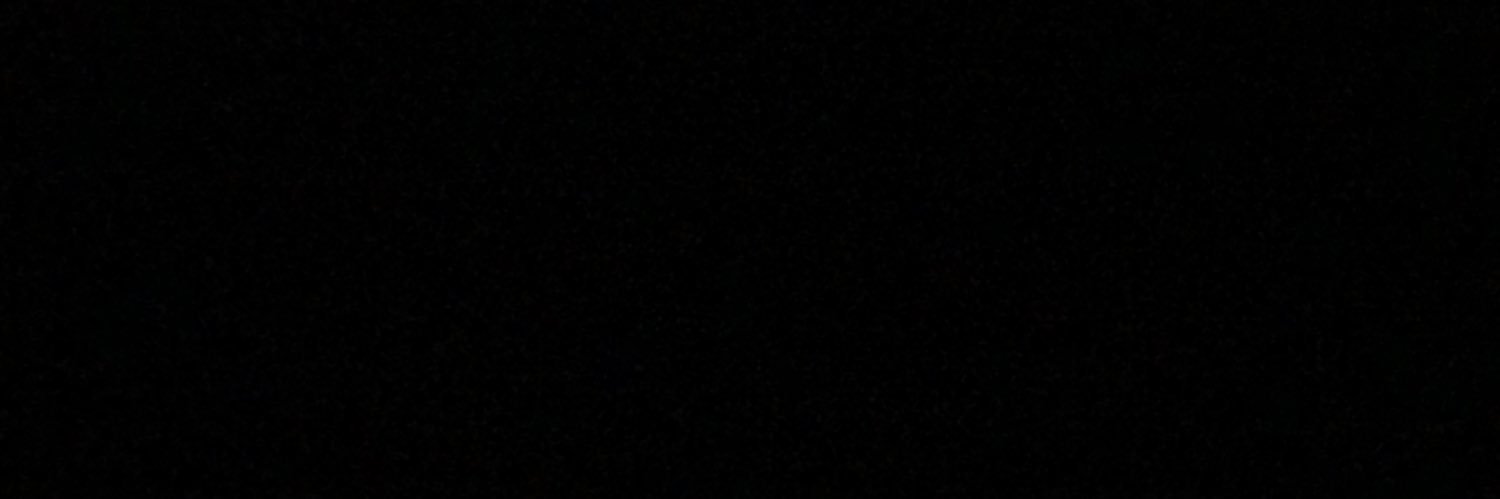 rochialbornoz's profile banner image