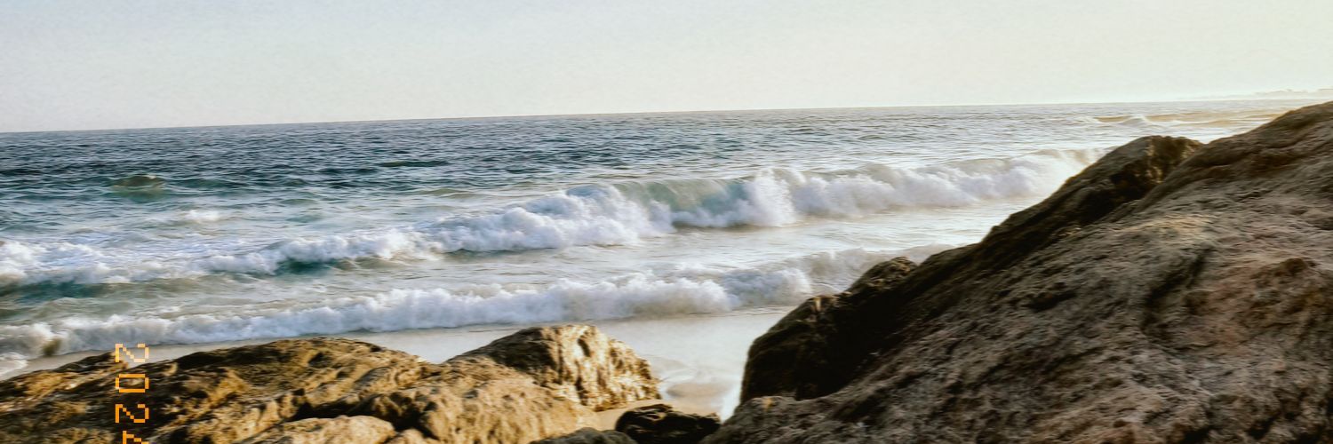 who_beatris's profile banner image