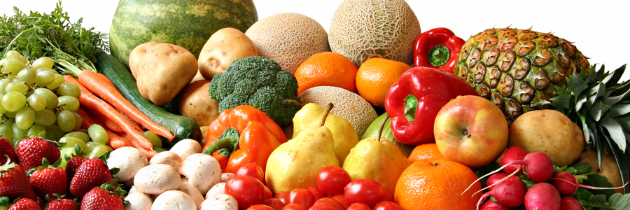 PlantPoweredMan banner