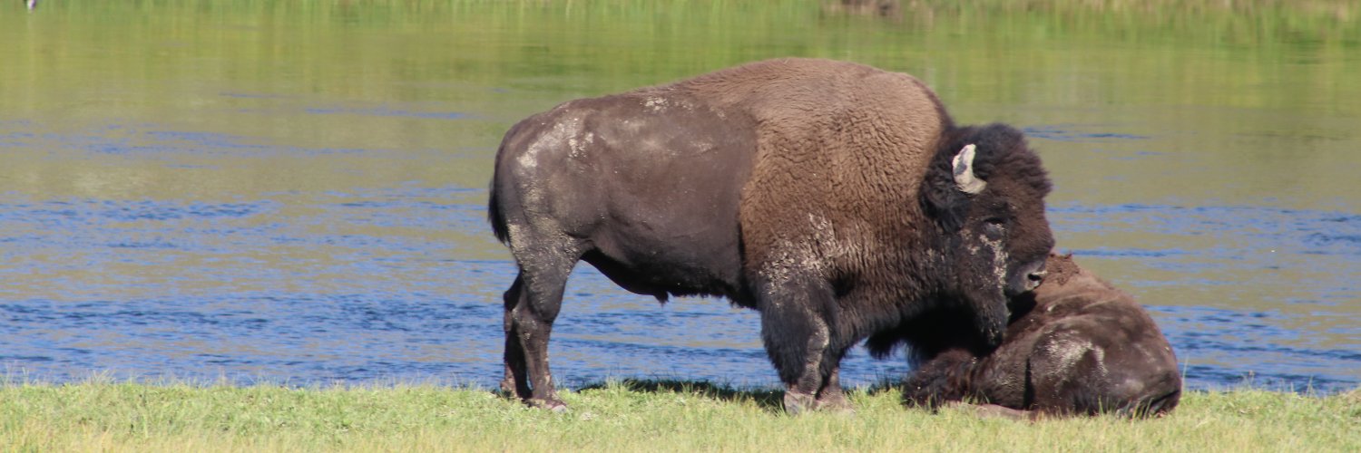 James Arvanitakis banner