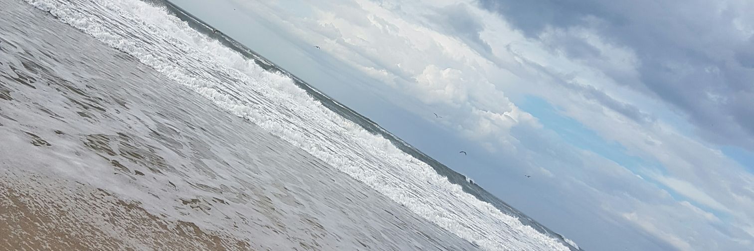 alizee_tota's profile banner image