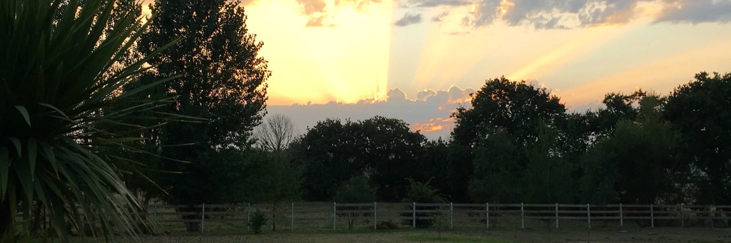 CVitet's profile banner image