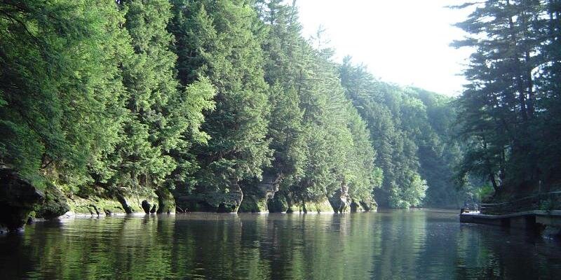 AAUW-Wisconsin banner