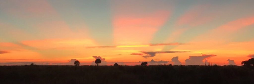 Seminole239's profile banner image