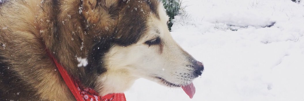 petegoodship's profile banner image