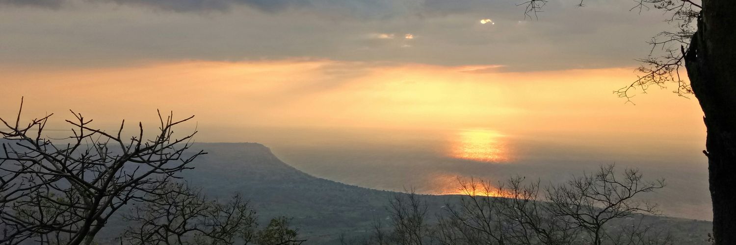 juliavanvel's profile banner image