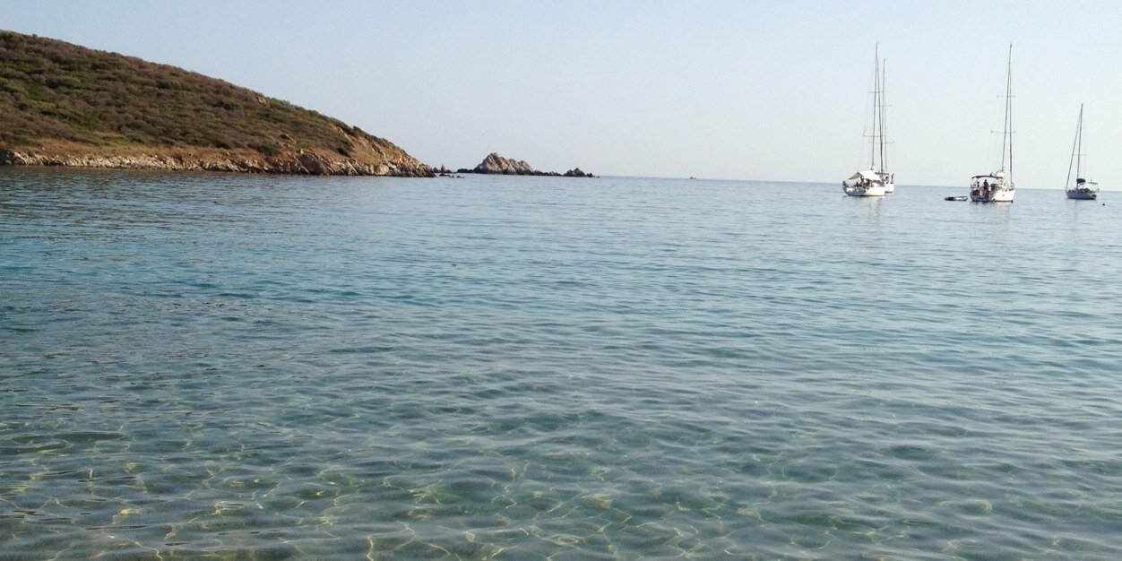 claudiascara's profile banner image