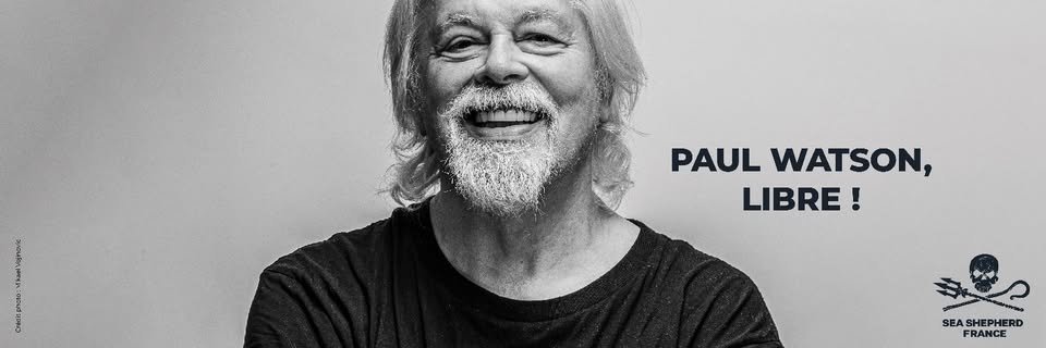 Sea Shepherd France's banner
