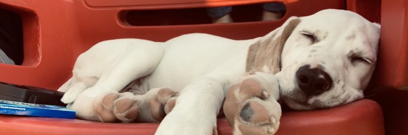 Whitney_McKay_'s profile banner image