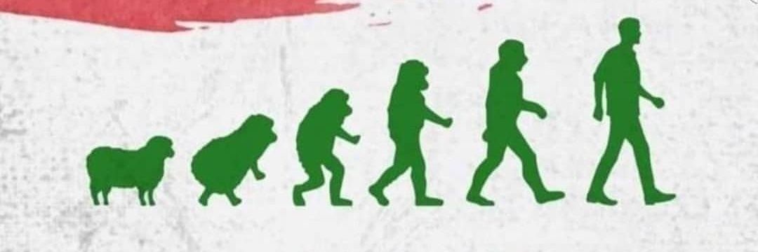 chadyabboud7's profile banner image