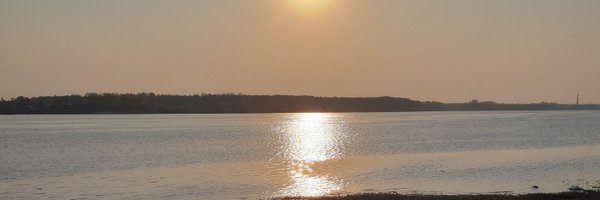 IngaIngucis Profile Banner