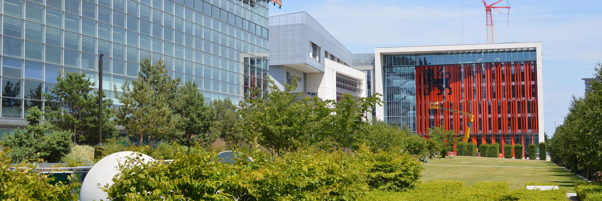BhamCollection's profile banner image