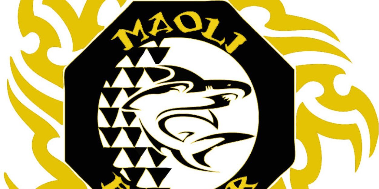 MaoliFighter's profile banner image