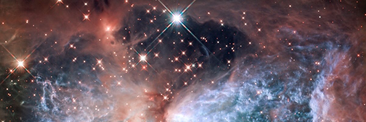 bearscienceclub's profile banner image
