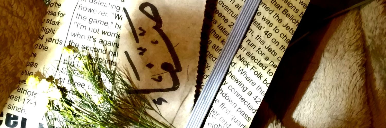 safa221151's profile banner image