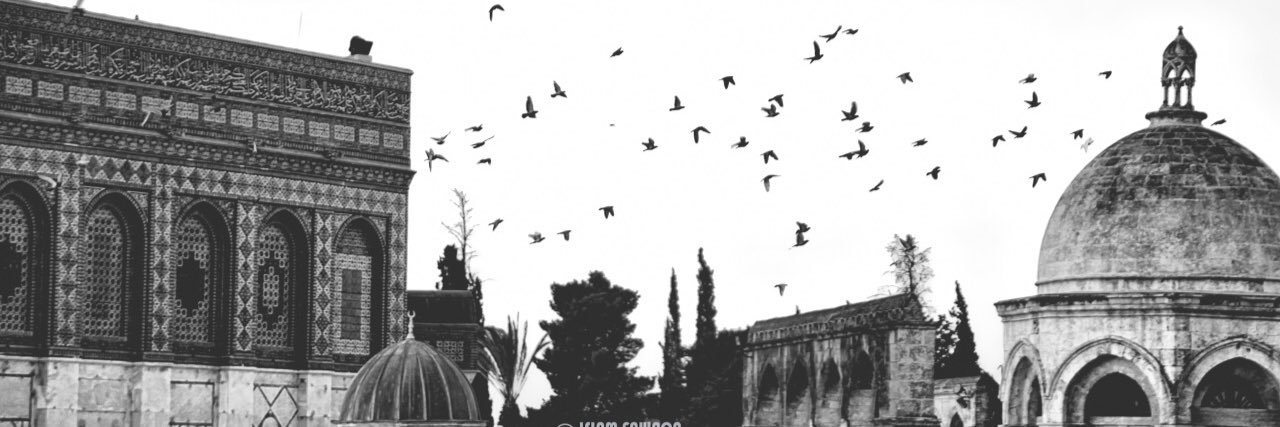 kholaidd's profile banner image
