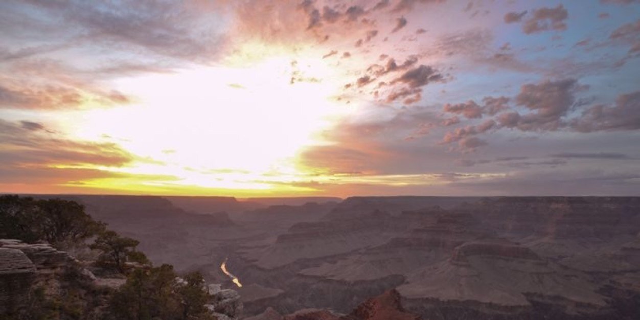 therealdaveroo's profile banner image