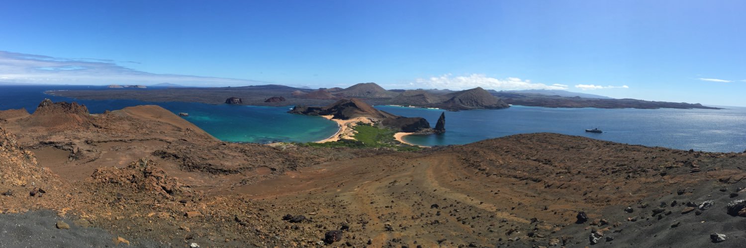 Carmen Yoldi 🅰️1️⃣ YA!! banner