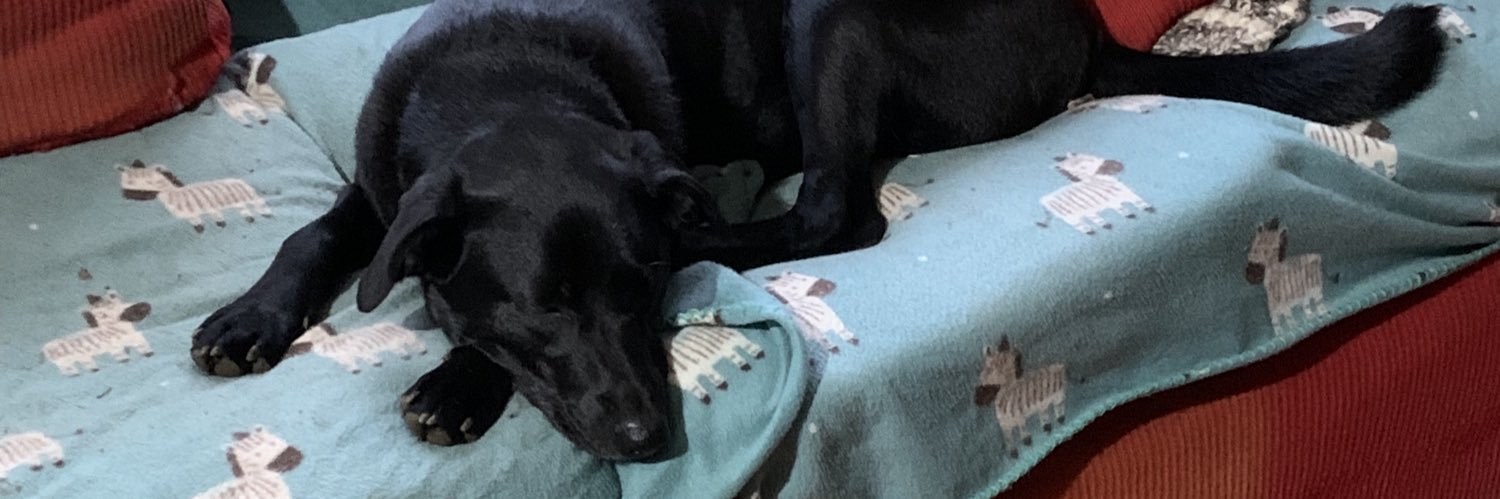 kmilo636's profile banner image