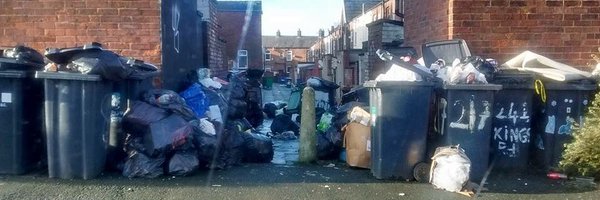 AngelaRaynoh Profile Banner