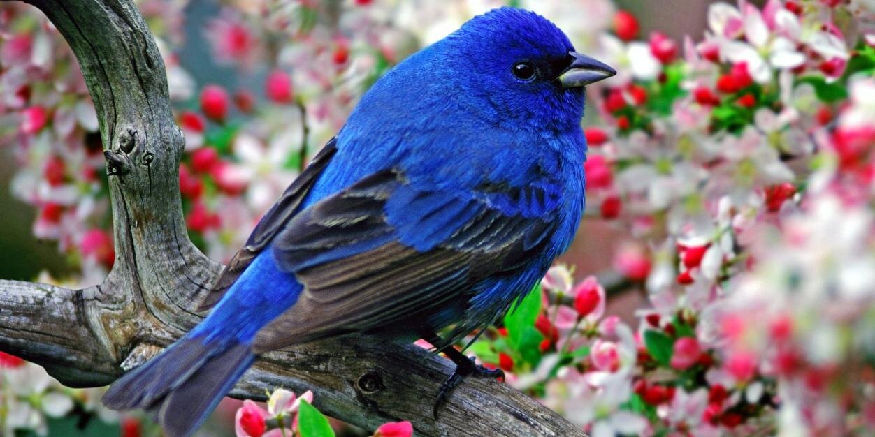 bimalkumar13's profile banner image