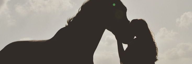 asarays's profile banner image