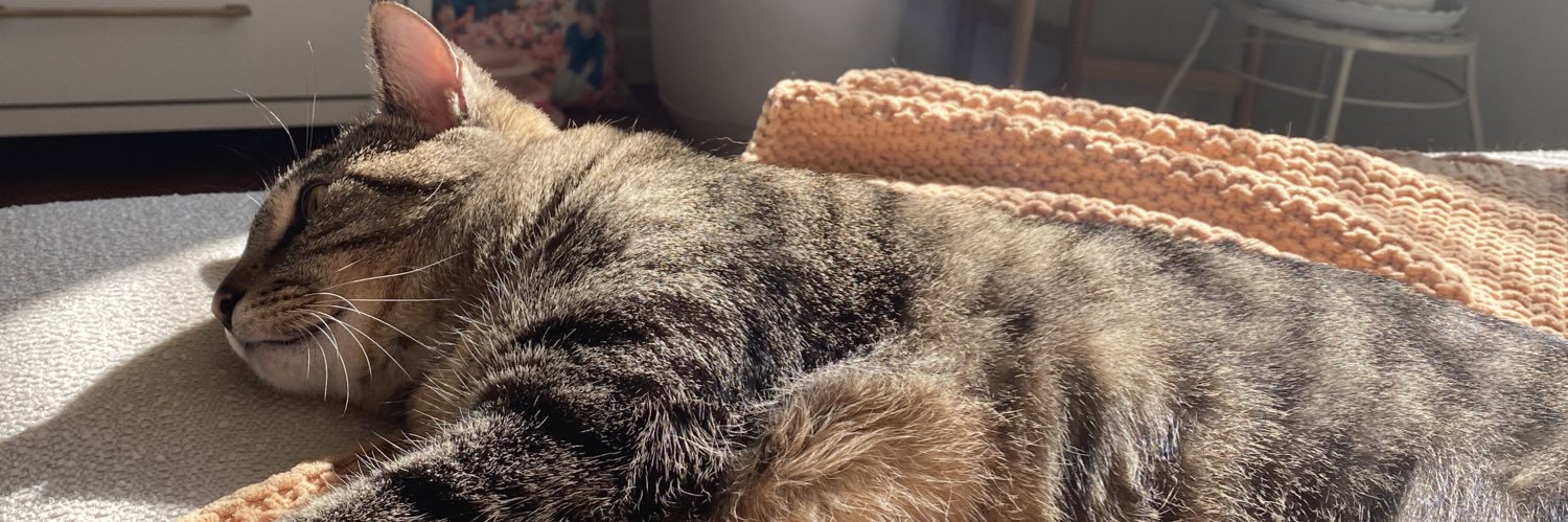Alissa_Kat's profile banner image