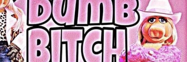 tsaloppek's profile banner image