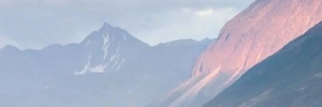 ShaggyPo's profile banner image
